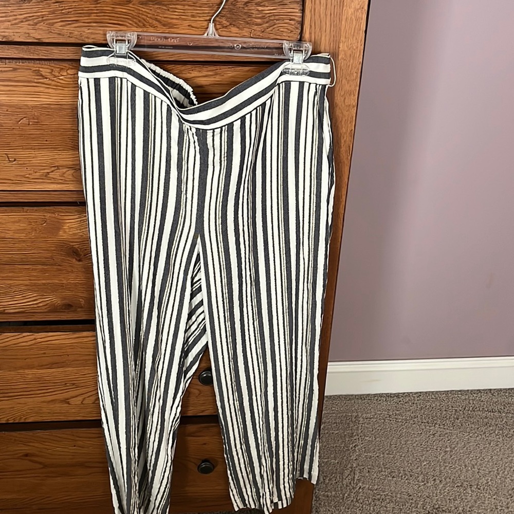 Loft pants